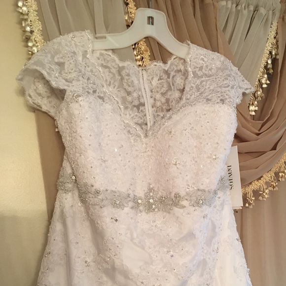 Wedding Gown, Tiara, And veil.. the whole package - Picture 2 of 8